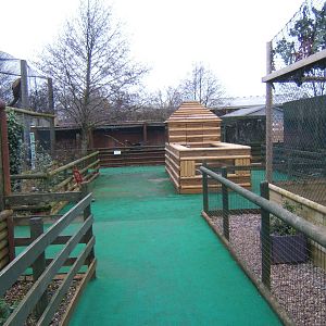 View showing new Meerkat enclosure