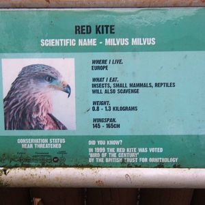 View of signage style