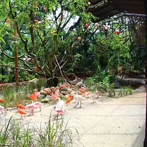 Wetlands exhibit