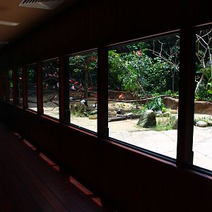 Wetlands exhibit