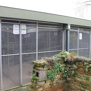 Aviaries
