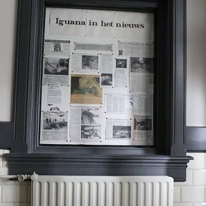 Iguana in the newspapers