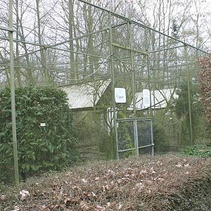 Aviaries