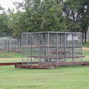 Wild Wilderness Drive Through Safari - Empty Cage