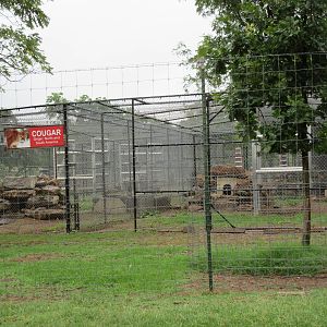 Wild Wilderness Drive Through Safari - Cougar Exhibit