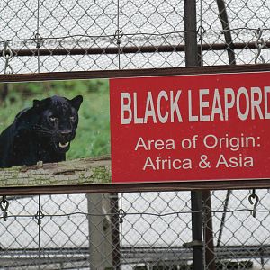 Wild Wilderness Drive Through Safari - Classic Sign!