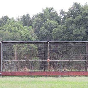 Wild Wilderness Drive Through Safari - Empty Cage