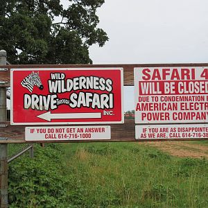 Wild Wilderness Drive Through Safari - Didn't They Pay The Electric Bill?
