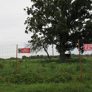 Wild Wilderness Drive Through Safari - Sable Antelope Exhibit