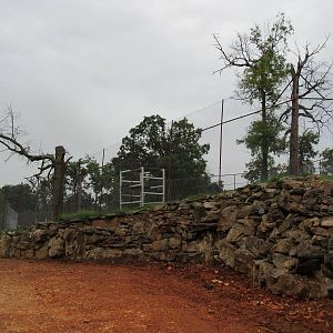 Wild Wilderness Drive Through Safari - Lion Exhibit