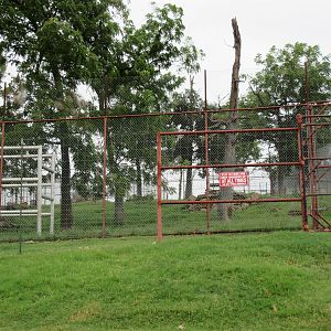 Wild Wilderness Drive Through Safari - Bengal Tiger Exhibit