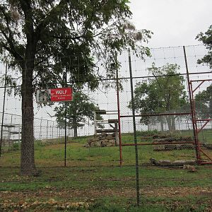 Wild Wilderness Drive Through Safari - Grey Wolf Exhibit