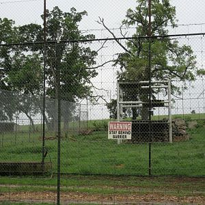 Wild Wilderness Drive Through Safari - Bengal Tiger Exhibit
