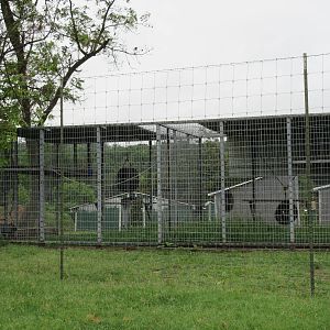 Wild Wilderness Drive Through Safari - Baboon Cages