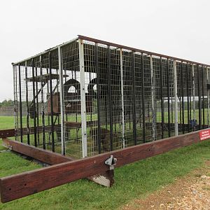 Wild Wilderness Drive Through Safari - Baboon Cages
