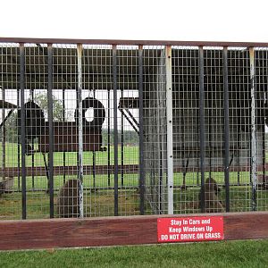 Wild Wilderness Drive Through Safari - Baboon Cages