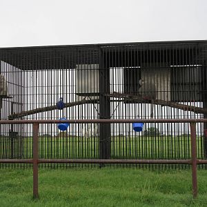 Wild Wilderness Drive Through Safari - Hamadryas Baboon Cages