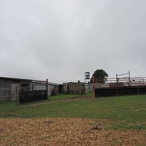 Wild Wilderness Drive Through Safari - Nile Hippo Barn
