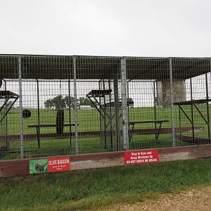 Wild Wilderness Drive Through Safari - Yet More Baboon Cages