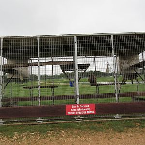Wild Wilderness Drive Through Safari - Baboon Cages