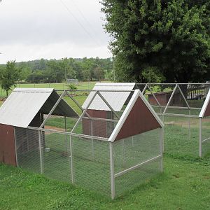 Wild Wilderness Drive Through Safari - Pheasant Aviaries