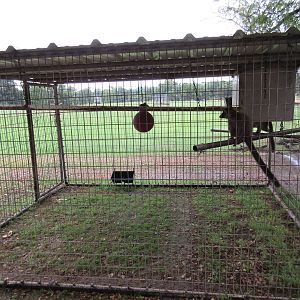 Wild Wilderness Drive Through Safari - Lemur Exhibit #2