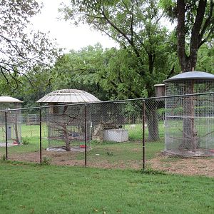 Wild Wilderness Drive Through Safari - Bird Aviaries
