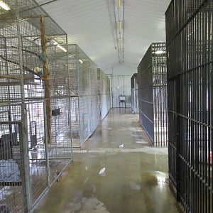 Wild Wilderness Drive Through Safari - Primate Barn Interior