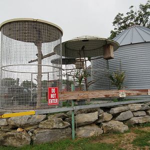 Wild Wilderness Drive Through Safari - Bird Aviaries
