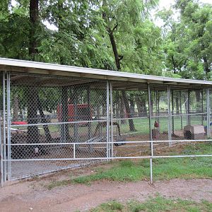 Wild Wilderness Drive Through Safari - Cougar Exhibit