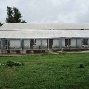 Wild Wilderness Drive Through Safari - Baboon Cages