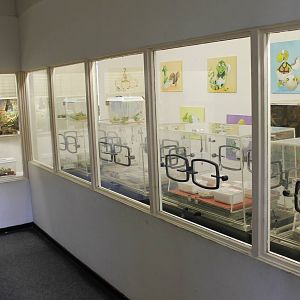 Incubation and raising room