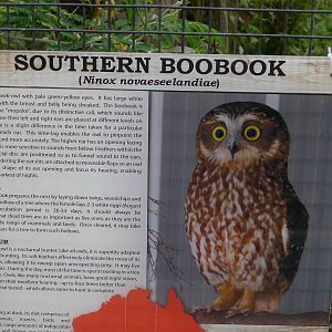 Wings Wildlife Park - Gunns Plains, Tasmaina