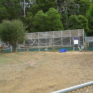Wings Wildlife Park - Gunns Plains, Tasmaina