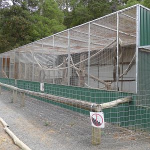Wings Wildlife Park - Gunns Plains, Tasmaina