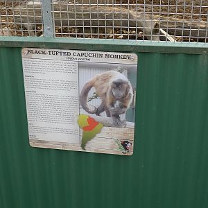 Wings Wildlife Park - Gunns Plains, Tasmaina