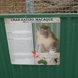 Wings Wildlife Park - Gunns Plains, Tasmaina