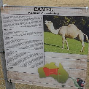 Wings Wildlife Park - Gunns Plains, Tasmaina