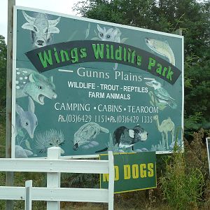Wings Wildlife Park - Gunns Plains, Tasmaina