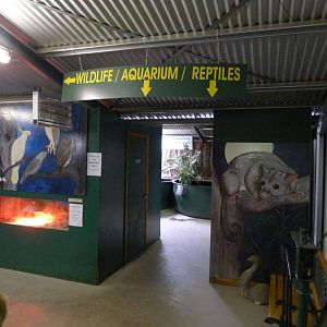 Wings Wildlife Park - Gunns Plains, Tasmaina