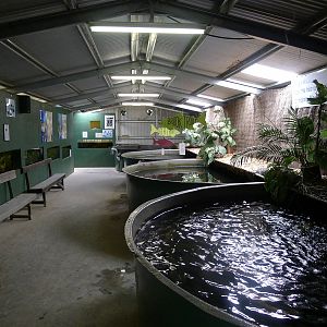 Wings Wildlife Park - Gunns Plains, Tasmaina