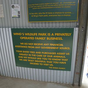 Wings Wildlife Park - Gunns Plains, Tasmaina