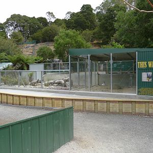 Wings Wildlife Park - Gunns Plains, Tasmaina