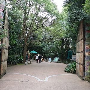 Path in the zoo, February 2016.