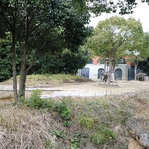 Elephant enclosures, February 2016.