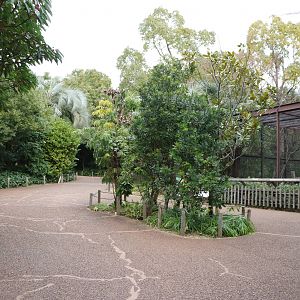 Path by clouded leopard enclosure, February 2016