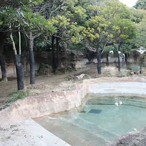 Malayan tapir enclosure, February 2016