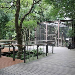Raised langur viewing area, February 2016