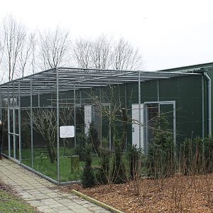 Media 'New aviaries taken into use' in category 'Vogelrevalidatiecentrum Zundert'