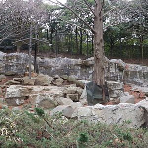 Golden takin enclosure, February 2016